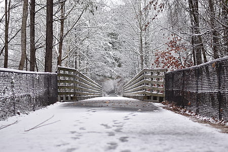 bridge covered with snow thumbnail
