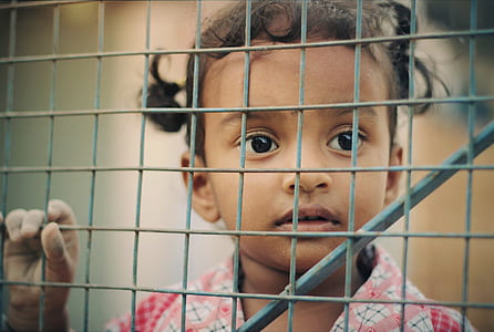 girl holding on gray metal wire fence thumbnail