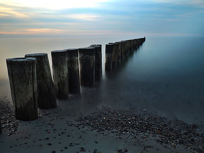 brown wooden piles on body of water thumbnail