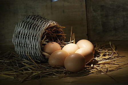 poultry eggs and basket thumbnail