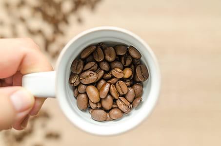 Person Holding White Mug With Coffee Beans thumbnail