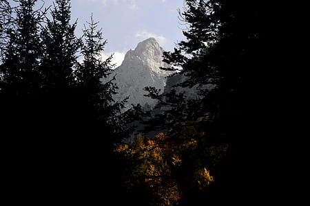snow capped mountain in between pine trees thumbnail