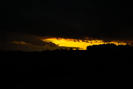 silhouette of trees during golden hour thumbnail