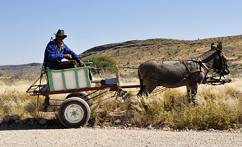 man riding rickshaw pulled by donkey thumbnail