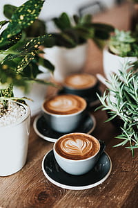two white ceramic coffee cup on top of black ceramic saucer near green leaf potted plants thumbnail