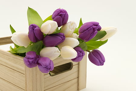 white and purple petaled flowers on brown wooden crate thumbnail