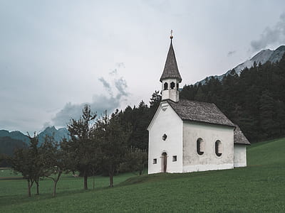 white and gray concrete church near green leaf trees thumbnail