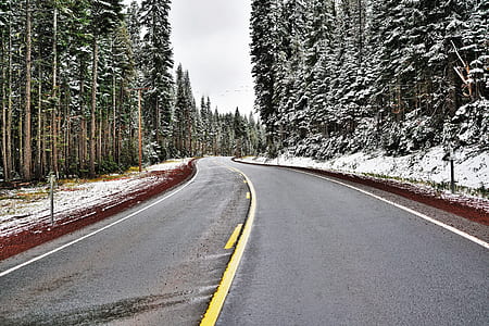 gray asphalt road between trees during daytime thumbnail