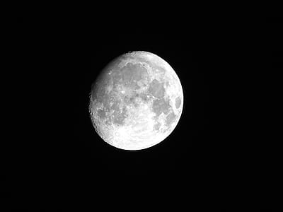 White Full Moon thumbnail