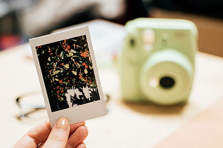 Person Holding White and Black Abstract Photo thumbnail