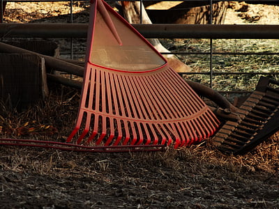 red garden rake thumbnail