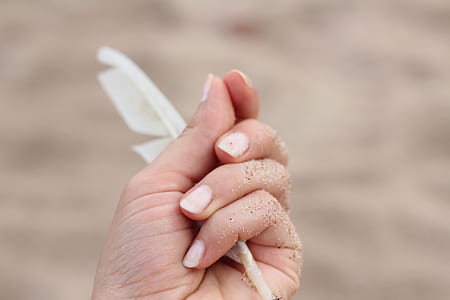 shallow focus photography of hand holding white feather thumbnail