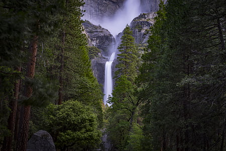 waterfalls surrounded by green trees thumbnail