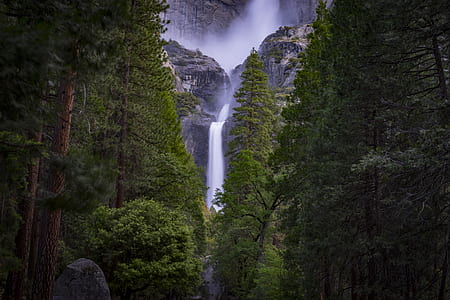 waterfalls surrounded by trees thumbnail