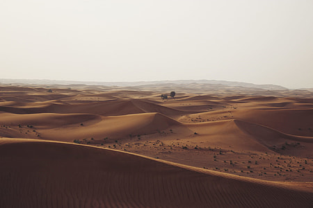 aerial photography of desert sand dunes thumbnail
