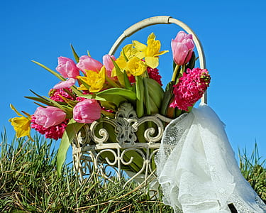 yellow daffodil, red tulips, and red hyacinth flowers with basket thumbnail