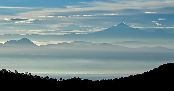 silhouette photo of trees with mountain as background thumbnail