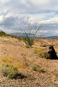 Landscape of the Desert around Lake Mead, Nevada thumbnail