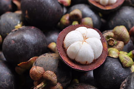 close-up photo of mangosteen thumbnail