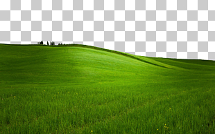 Computer Icons Desktop , Grass Transparent , green grass field PNG clipart
