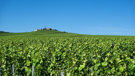 green field and blue sky horizon thumbnail