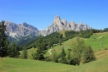 mountain near forest thumbnail