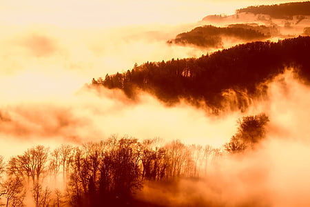 sea of clouds with trees thumbnail