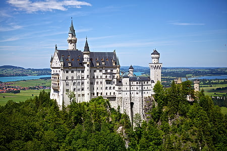 bird's eye view of white and black castle surrounded of trees thumbnail