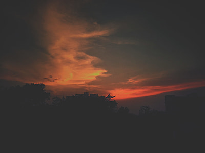 silhouette of trees during dawn thumbnail