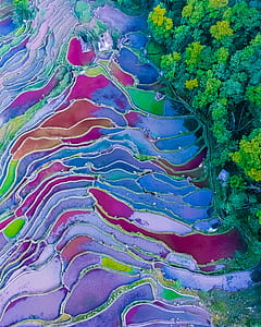 aerial view photography of multicolored grass field thumbnail