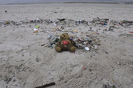 gray teddy bear on gray sand thumbnail