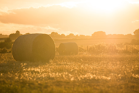 two hay rolls on top of grass field thumbnail