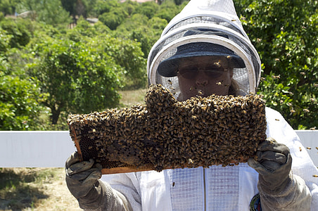 man holding honey beehive thumbnail
