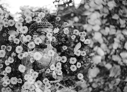 grayscale photography of Gautama Buddha statuette thumbnail