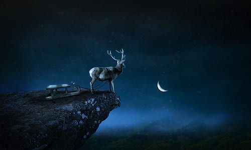 deer on top of mountain illustration thumbnail