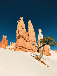 green tree near brown rock formation during daytime thumbnail