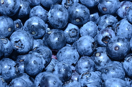 close up photo of blueberries thumbnail