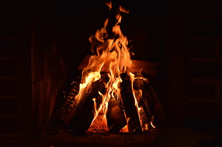 firewoods on flame at night thumbnail