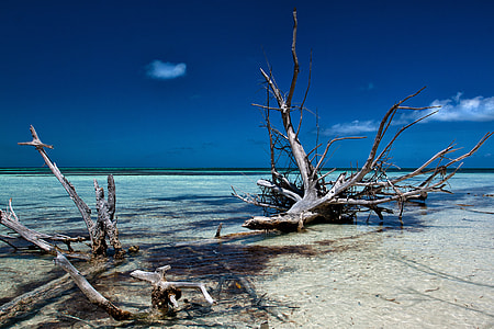 Seascape shot taken on the coast of a small tropical island off Cuba in the Caribbean. Image captured with a Canon DSLR thumbnail