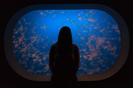 silhouette of woman looking at window thumbnail