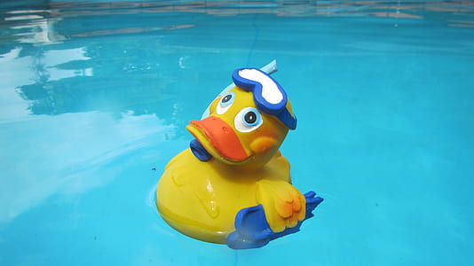 yellow rubber ducky floating on body of water thumbnail