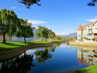 calm body of water near trees and house thumbnail