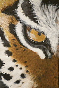 closeup photo of tiger eye thumbnail