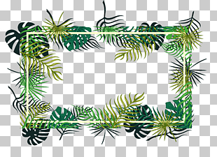 Fir Christmas ornament Pine Spruce Evergreen, Tropical leaf decoration box, blue background with green leaves overlay PNG clipart