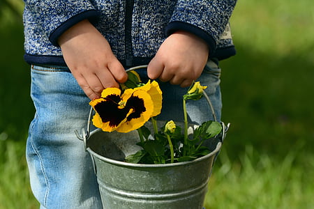 person holding bucket with petaled flowers thumbnail