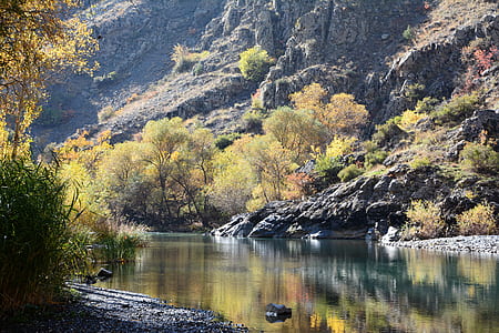 calm body of water near trees and mountain at daytime thumbnail