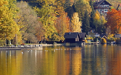 black wooden house near body of water and trees during daytime thumbnail