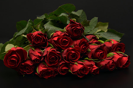 bouquet of red roses thumbnail