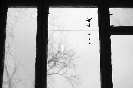 grayscale photo of window view with baretrees thumbnail