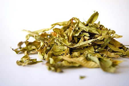 selective focus photography of pile of leaves thumbnail